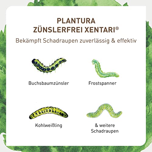 Plantura Xentari Raupenfrei & Zünslerfrei gegen Buchsbaumzünsler & Schadraupen, extrem wirksames & biologisches Spritzmittel, Nicht bienengefährlich, 8 x 2g Portionsbeutel