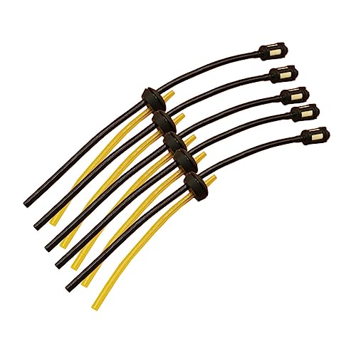 PartyKindom 5K\@pICpCv `[uAZu ϋv