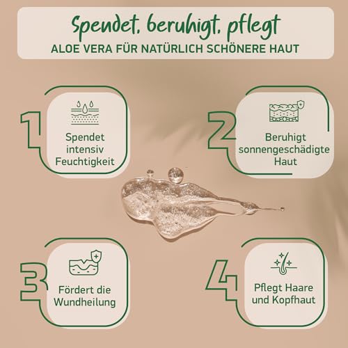 Aloe Vera Gel BIO - Vegan | Mit PUREM BLATTSAFT | 100% NATÜRLICH & REIN | Feuchtigkeitscreme Gesicht & Körper | Feuchtigkeitspflege - Made in Germany | Bio Aloe Vera Gel - After Sun