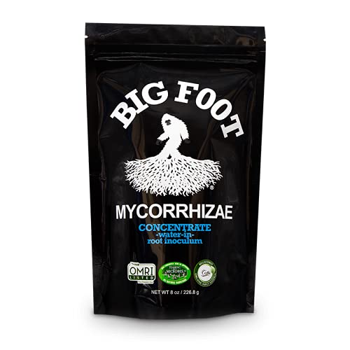 Buy WaterIn Soluble Mycorrhizal Fungi Root Enhancer for s Compost
