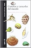  Conchas y Caracolas del Mundo (Descubrir la Naturaleza)