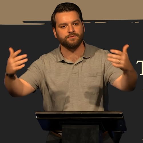 『The Wilderness | Taylor Evans』のカバーアート