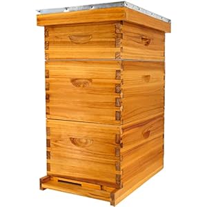 Honey Lake 8 Frame Bee Hive Kit, Langstroth Bee Hives Boxes Starter Kit for Beekeepers Dipped in Beeswax Includes 2 Deep Brood Box & 1 Medium Super Bee Box with Beehive Frames and Waxed Foundations