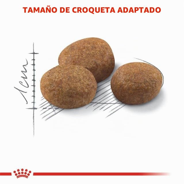 Royal Canin Regular STERILISED 7+ | Paquete Triple | 3 x 400 g | Alimento Completo para Gatos esterilizados | Puede Ayudar a Mantener la función renal y del tracto urinario