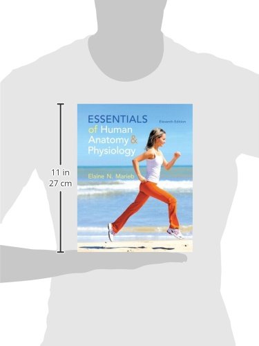 Essentials of Human Anatomy & Physiology (11th Edition) - Image 2
