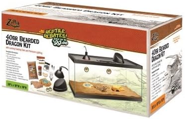 zilla bearded dragon kit
