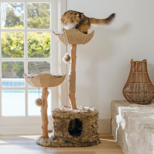 Image of Mau - Modern Cat Tree Tower, Real Branch Wood Condo for Large Cats