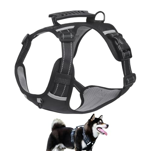 pn[lX, h~ \ wr[f[eB xXg, ^p [v, nCLO TCNO g[jO s Lv O[~O p