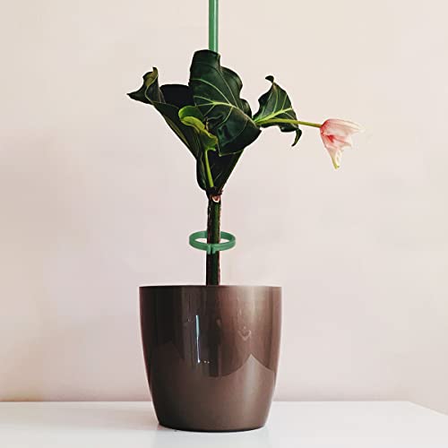 12 Inch Plant Support Stakes, with Adjustable Retaining Ring Green Plant Sticks Support Stakes for Indoor and Outdoor Plants,Flowers,Climbing(10Pcs) by KVZVK - Image 3