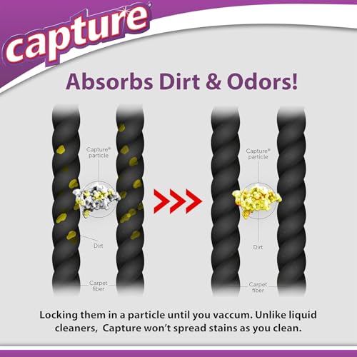 Miniatura 8 de Captura Dry Alfombra Limpiador Kit 1,13 Kg.