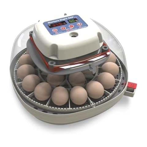Manna Pro Harris Farms Nurture Right Egg Incubator for Hatching Chicks - Holds 12-22 Eggs - Automatic Egg Turner with Temperature and Humidity Control - 360 Degree View with Clear Window Cover