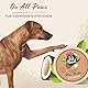 Pet Head On All Paws Kokospfotenbutter Feuchtigkeitsbalsam für Hundepfoten Beruhigt und pflegt Pfoten und Nasen Professionelle Pflege Sanfte Formel für Hunde und Welpen 40g