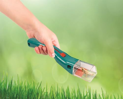 CLEMENTONI - L’Observatoire des Insectes - Kit Scientifique pour Observer la Nature dès 7 Ans - Loupe, Boîte d’Observation et Fiches - Jeu d’Éveil à la Biologie pour Enfants Curieux