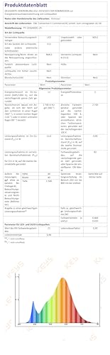 Anmossi Catena Luminosa Esterno,50FT/15 Metri