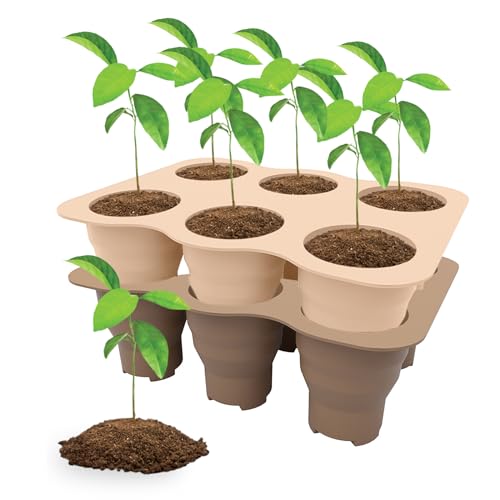 Holzsammlung 2 Piezas Bandejas Semilleros de Germinacion, 12 Células Silicona Reutilizar Bandejas de Germinación para Invernaderos, Semillero Bandeja Invernadero Interio para Plantas en Crecimiento