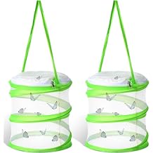 Sherr 2 Pcs Mini Butterfly Habitat Cage Clear Mesh Butterfly Net Cage Container Foldable Terrarium, 6.2x7.1inch Green