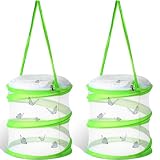 Sherr 2 Pcs Mini Butterfly Habitat Cage Clear Mesh Butterfly Net Cage Container Foldable Terrarium, 6.2x7.1inch (Green)