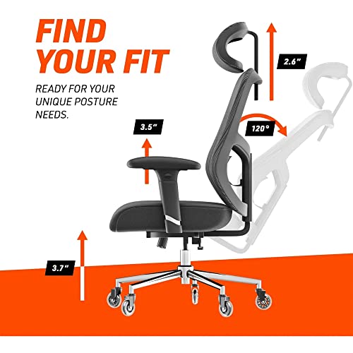 Truweo Ergonomic Executive Office Chair - Big And Tall With Inline Skate Caster Wheels – Heavy Duty Lumbar Support High Back With Premium Gas Lift #TOP5