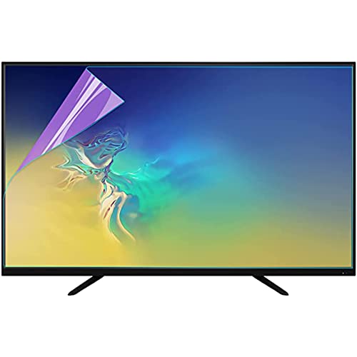 Protecteur d'écran de télévision haut de gamme format 1645/931mm - 2