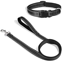 Joytale 12-16 inches Dog Collar and 6FT Leash, Reflective Soft Neoprene Padded Pet Collars and Leashes for Small Dog