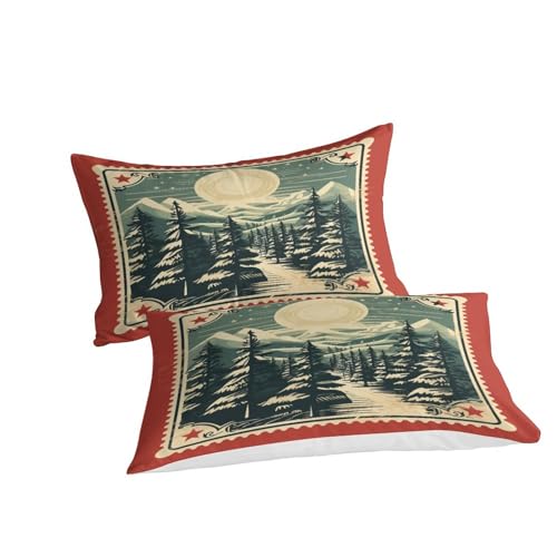 Housse de couette Noël vintage 200x200 parure lit microfibre - 4