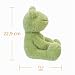 Apricot Lamb-Juguetes Peluche de Rana Verde Animal de Peluche Suave Imagen de Apricot Lamb-Juguetes Peluche de Rana Verde Animal de Peluche Suave