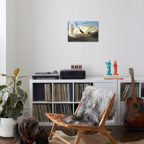 ART.COM Wall Art Print Trumpeter Swan by John James Audubon, 24" x 16" by ART.COM - Used condition - Image 3