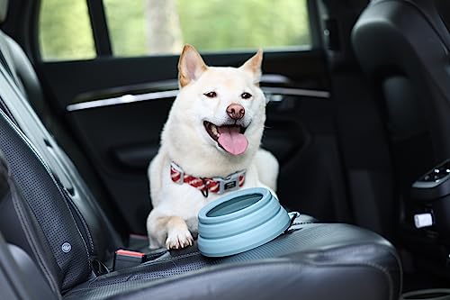 OHMO Collapsible Dog Bowl Anti Tip Over Wide Base Small Opening, Dog Travel Bowl - Image 2