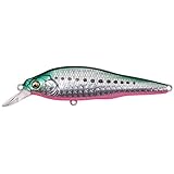 メガバス X-80SW(エックス80 SW) LBO GG リアクションイワシ