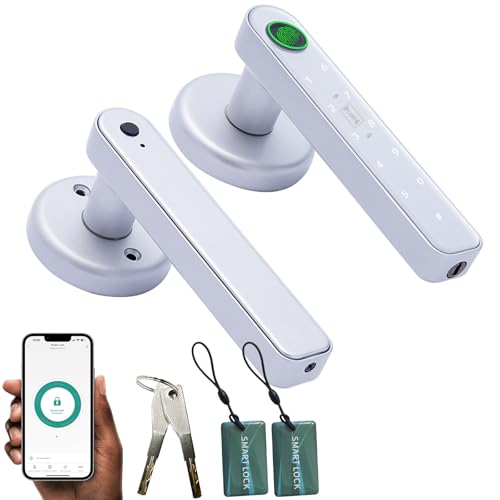 5 in 1 Smart Fingerprint Door Lock, Silver
