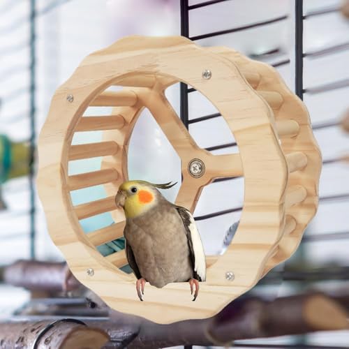 Accessoires de cage pour perroquet avec roue d'exercice - 8