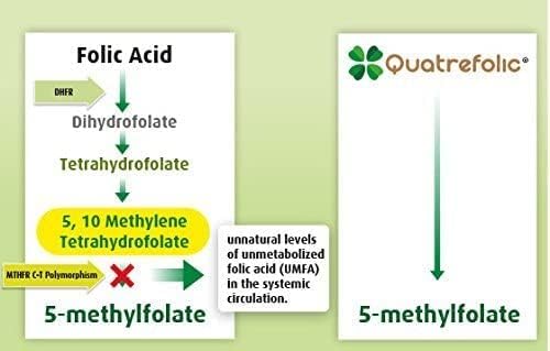 Advanced Blend MTHFR 60 Cápsulas Veganas con Quatrefolic miniatura 5