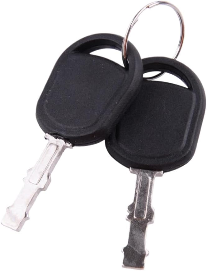 Ignition Switch Lock Cylinder with 2 532175566 163968 Compatible with L100 L105 L107 L108 L110 L111 L120 L130 Lawn Mower