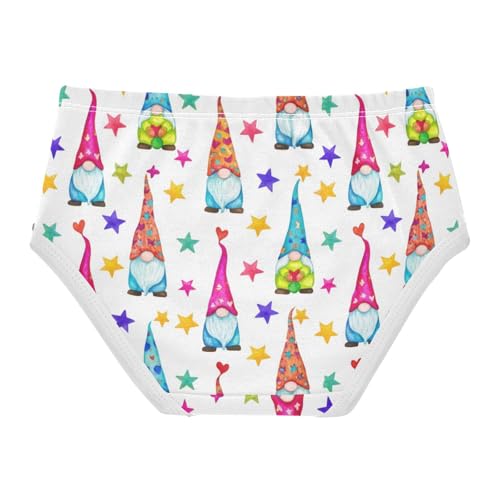 Joisal Toddler Underwear Floral 2t Cotton Panties Little Girl Designer Kids Undies Briefs Colorful Gnomes Stars Cute2