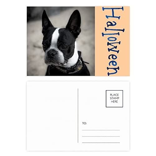 Cartes postales d'Halloween design sombre esthétique artistique lot 20