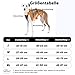 Huntboo Sicherheitsgeschirr Hund Ausbruchsicher, Panikgeschirr für Hunde, Anti Zug Hundegeschirr, Reflektierend, Verstellbare, Leichte Weste für kleine, mittelgroße und große Haustiere (Schwarz,S)