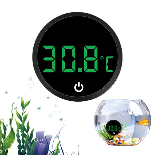 v - LED HD fBXvCtىxv |xANZT | LED xxvAz[gJp Portablle xv