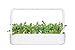 Click and Grow Smart Garden Arugula Plant Pods, 9-Pack