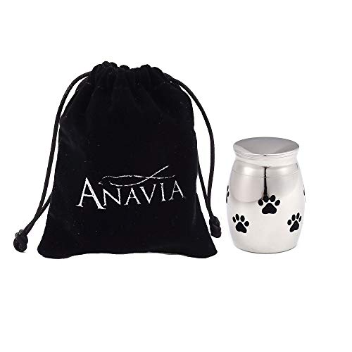 Anavia Mini Dog Paw Print Cremation Urn For Pet Ashes Holder, Photo Customized Pet Portrait Engraved On Cap, Small Memorial Keepsake For Animal Lover Puppy Cat (Silver - Pet Portrait) #TOP6