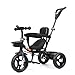 Luusa® TFT-1 Plug N Play Tricycle/Parental Control