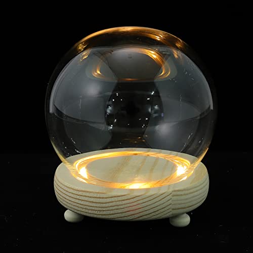FOMIYES Terrario Cristal con Tapa Visualización de Cúpula CUROCIóN Cloche Decorativo Decorativo de Banda con Base de Madera Redondo de Cloche DE DE CUERTAMIENTO para