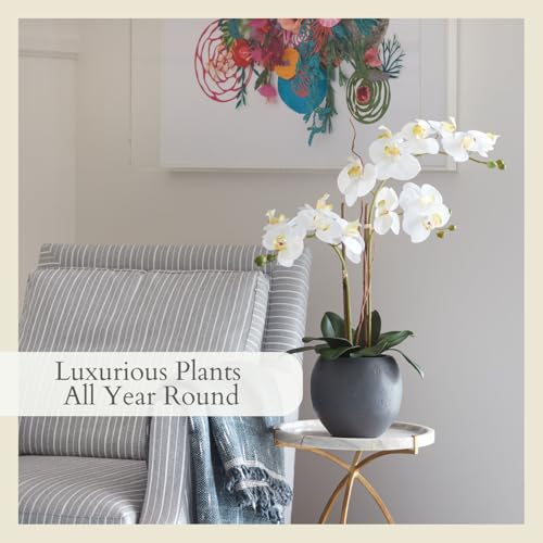 Image of CG Hunter Faux White Orchid Plant, Premium Artificial Indoor Flower Display Stands 25-Inches with Beautiful Sculptural Blooms and Foliage That Lasts Forever, Grey Planter Pot Included
