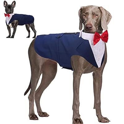 Dog Tuxedo Suit for Small Medium Large Breed, Formal Dog Tuxedo Vest Set with Detachable Bow Ties Collar & Bandana Scarf, Gentle Pet Costume/Dress/Clothes/Shirt for Wedding Birthday Party Blue