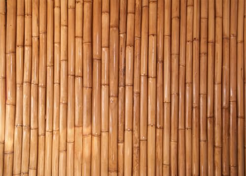 DULUDA 7x5 FT Bamboo Backdrop Tropical Hawaiian Backdrop for Party Bamboo Decorations Photography Decoration Studio Booth Props
