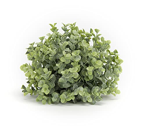 Melrose Modern Home Decorative Boxwood Half Orb (Set of 6) 7