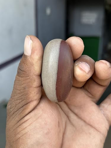 Image of Shivam VASTU AKAL 1.5 inch Original Narmadeshwar Narmada Shivling with 3 inch Narmada Stone Yoni Base Jaladhari (Ardhanarishwar Shivling, Multicolor Damru Jaladhari)