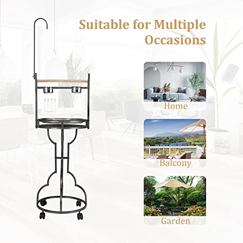 Coziwow PARROT T STAND 72 Inch Parrot Stand,Stainless Steel Tray Bowls Large Bird Playstand,Parrot Perch thumb #4