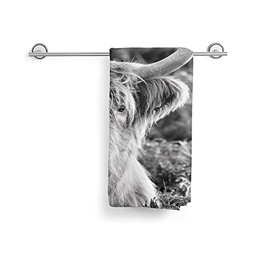 Hand Towel Highland Cows Moorland Face Washcloths Fingertip Bath Towels 27.5 X 15.7 Inch Microfiber Quick Dry Soft Absorbent Luxury Kitchen Dish Cloth For Bathroom Beach Gym Hotel Salon Spa Sport #TOP4
