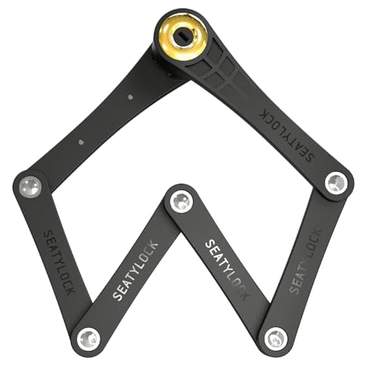 41RLPRFtk6L._SS520_ Best fold lock