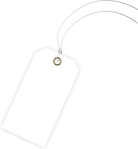 Tags 4 Less Etiquetas colgantes de plástico en blanco de 15 mil con cables adjuntos, etiquetas colgantes resistentes e impermeables de 2 x 4
